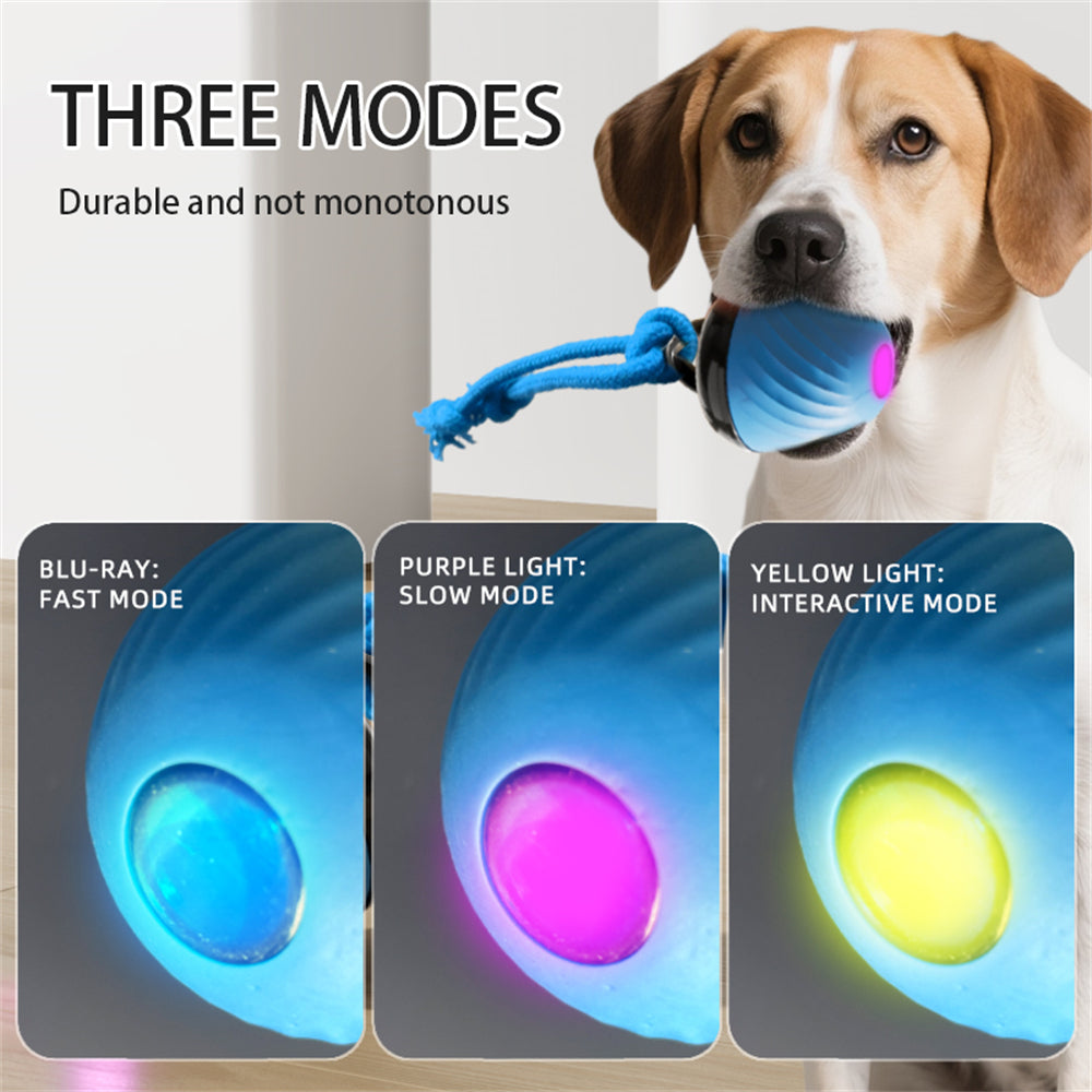 Pet Ball for Dogs Interactive Toys Motion Activate Rolling Ball for Puppy/Small Dogs Automatic Moving Toy USB Rechargeable Toy
