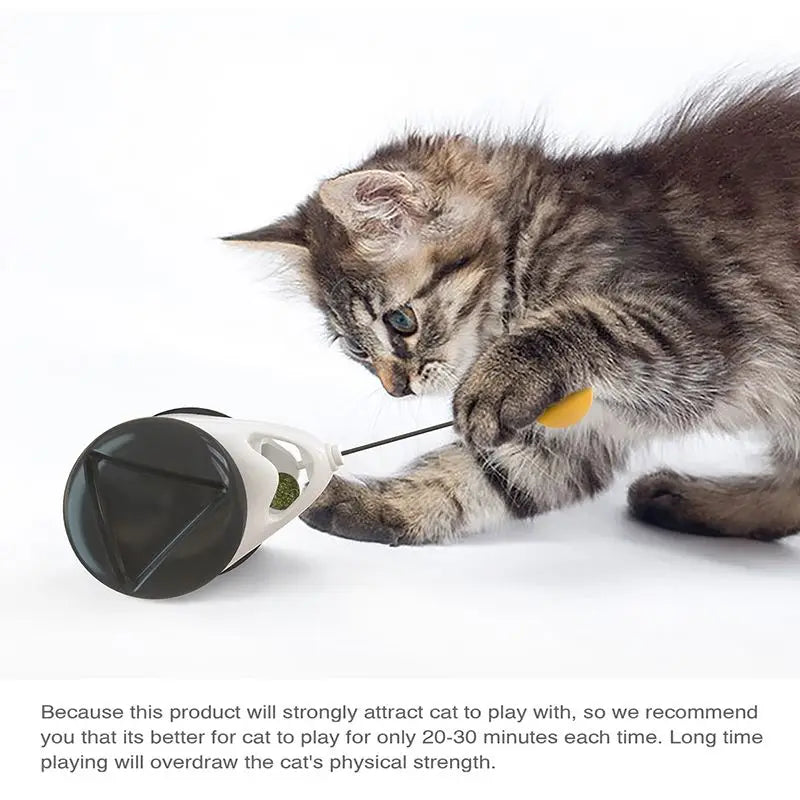 Funny Interactive Smart Toys for Cat, Kitten, Gatos - Unblocking Self - healing Balance Swing Car Pet Cat Toys