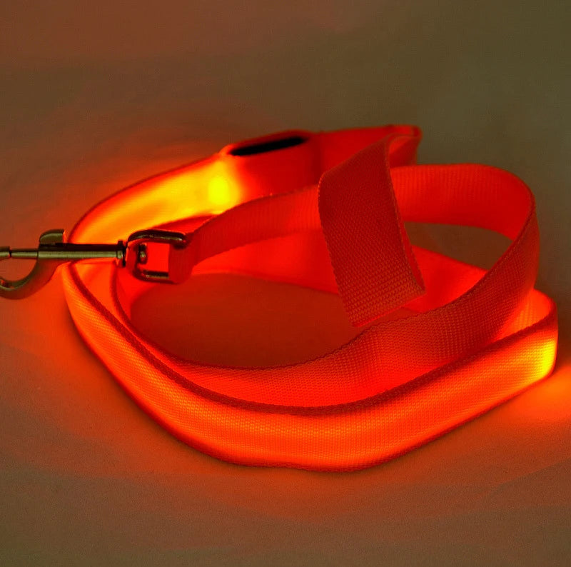 LED Dog Leash Light Luminous Pet Dog Lead Leash For Dogs Cats Nylon Light Night Safety Flashing Pet Dog Leashes For Small Dog