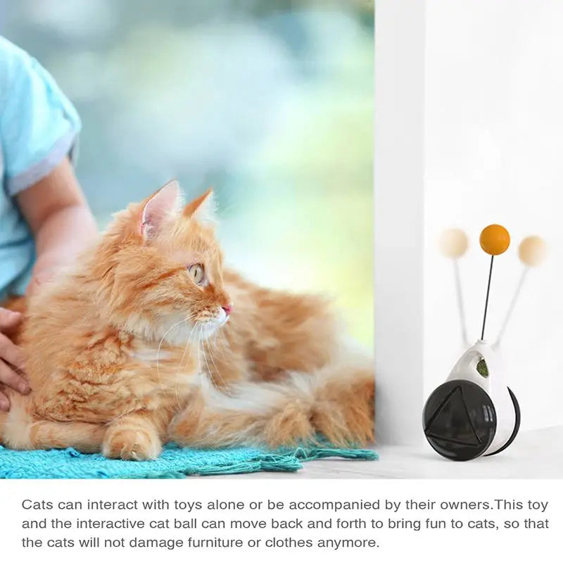 Funny Interactive Smart Toys for Cat, Kitten, Gatos - Unblocking Self - healing Balance Swing Car Pet Cat Toys