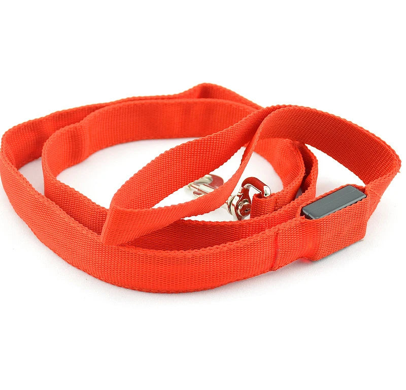 LED Dog Leash Light Luminous Pet Dog Lead Leash For Dogs Cats Nylon Light Night Safety Flashing Pet Dog Leashes For Small Dog