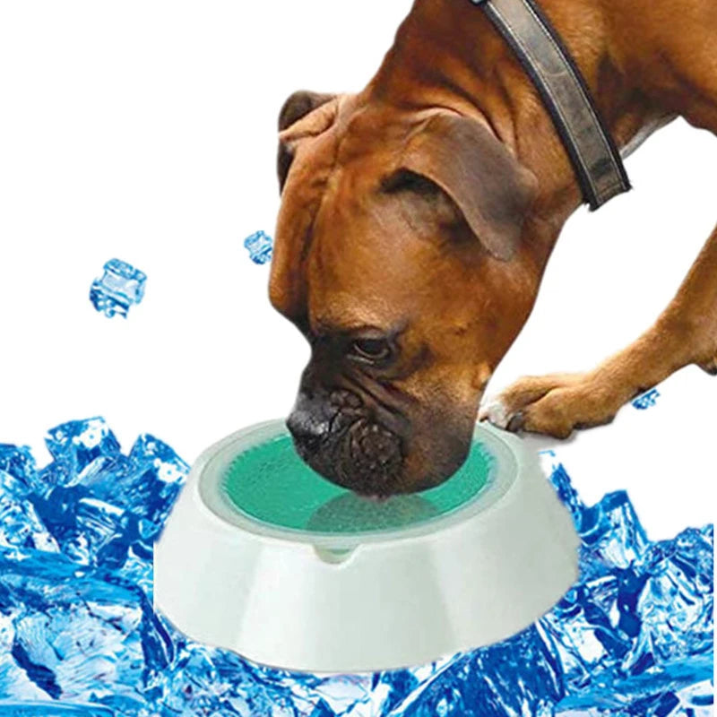 Cool Summer Pet Supplies Dog And Cat Condensed Bead Ice Bowl Kitten And Puppy Food Plate Tableware Feeding Supplies