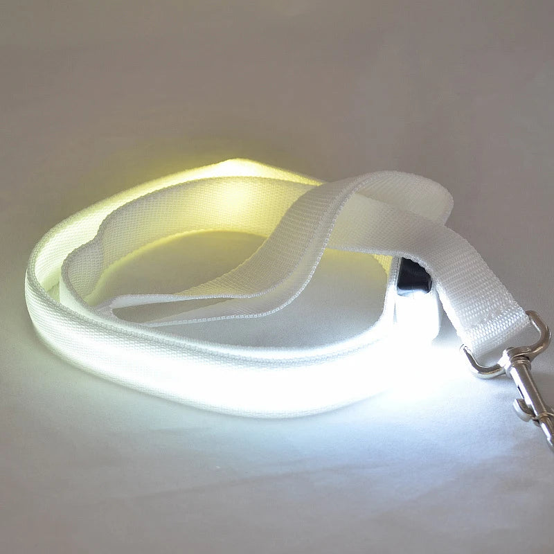 LED Dog Leash Light Luminous Pet Dog Lead Leash For Dogs Cats Nylon Light Night Safety Flashing Pet Dog Leashes For Small Dog