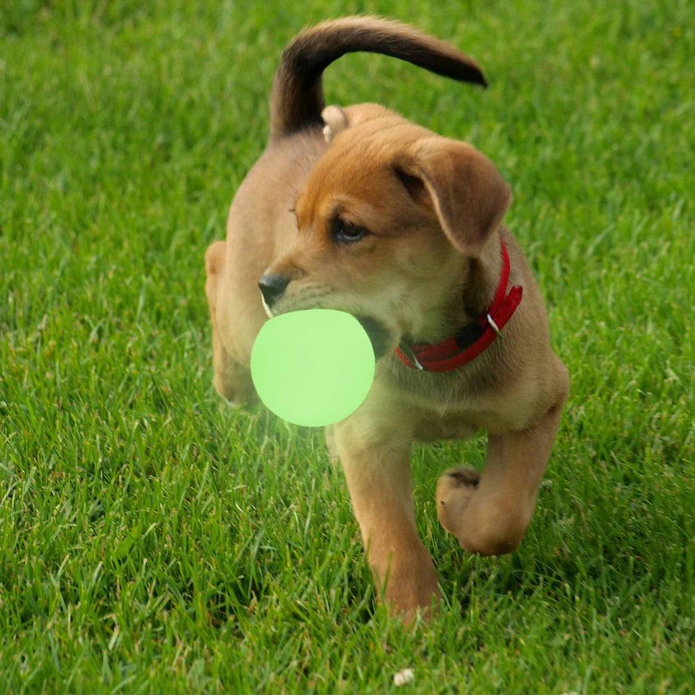 Waterproof IP68 16 Color Changing Mood Led Light Hanging Garden Ornaments with Dimmable Remote Control Led Ball