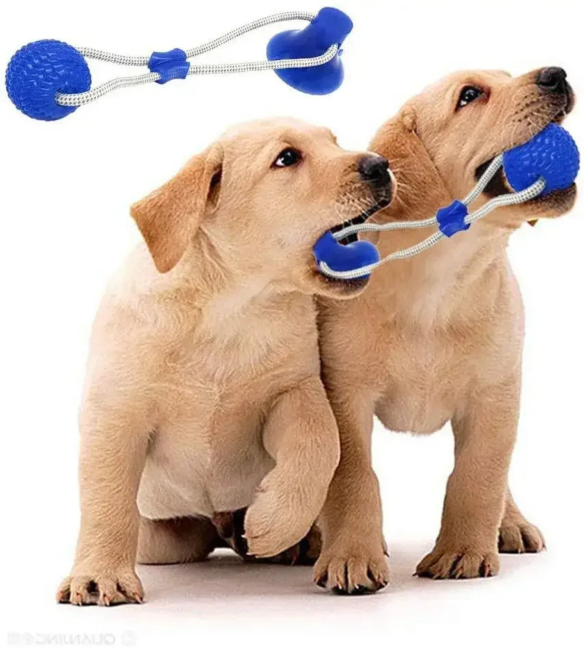 Pet Rubber for Small Dogs