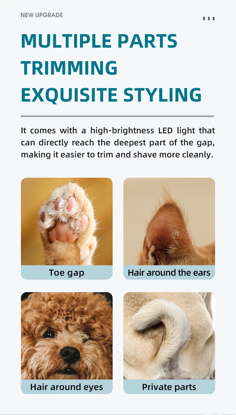 Pet electric clipper with LED lights, foot hair trimmer, professional dog and cat care products, USB rechargeable nail clippers