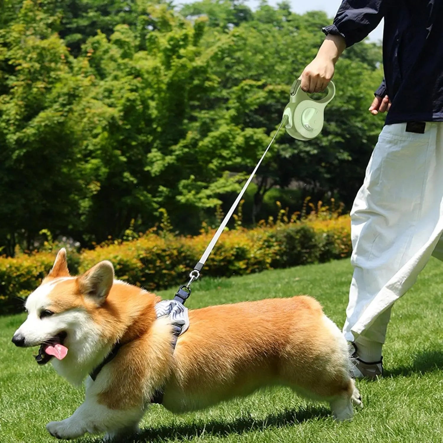 3/5M Automatic Retractable Dog Leash with LED Lights 360°Swivel No Tangle Explosion Proof Nylon Lead for Pet Walking Rope Use