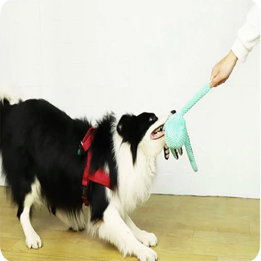 Dog pet plush octopus toy with interactive sound