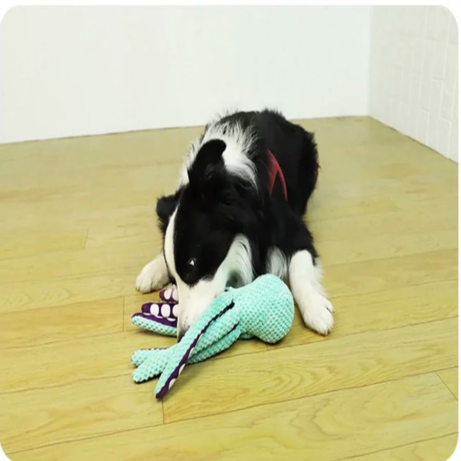 Dog pet plush octopus toy with interactive sound