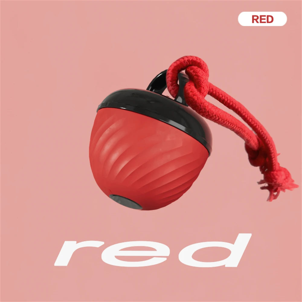 Pet Ball for Dogs Interactive Toys Motion Activate Rolling Ball for Puppy/Small Dogs Automatic Moving Toy USB Rechargeable Toy