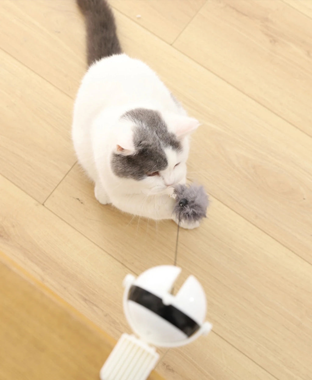 1Pc Fun Lifting Ball Electric Motion Cat Toy With Automatic Retractable Cat Teasing Ball Rotating Interactive Puzzle Pet Toys
