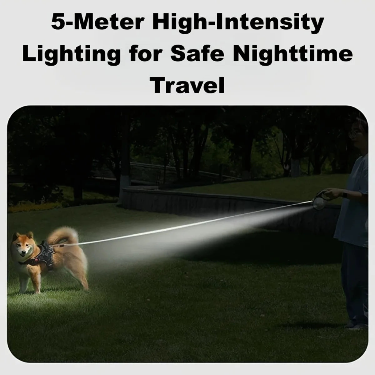 3/5M Automatic Retractable Dog Leash with LED Lights 360°Swivel No Tangle Explosion Proof Nylon Lead for Pet Walking Rope Use