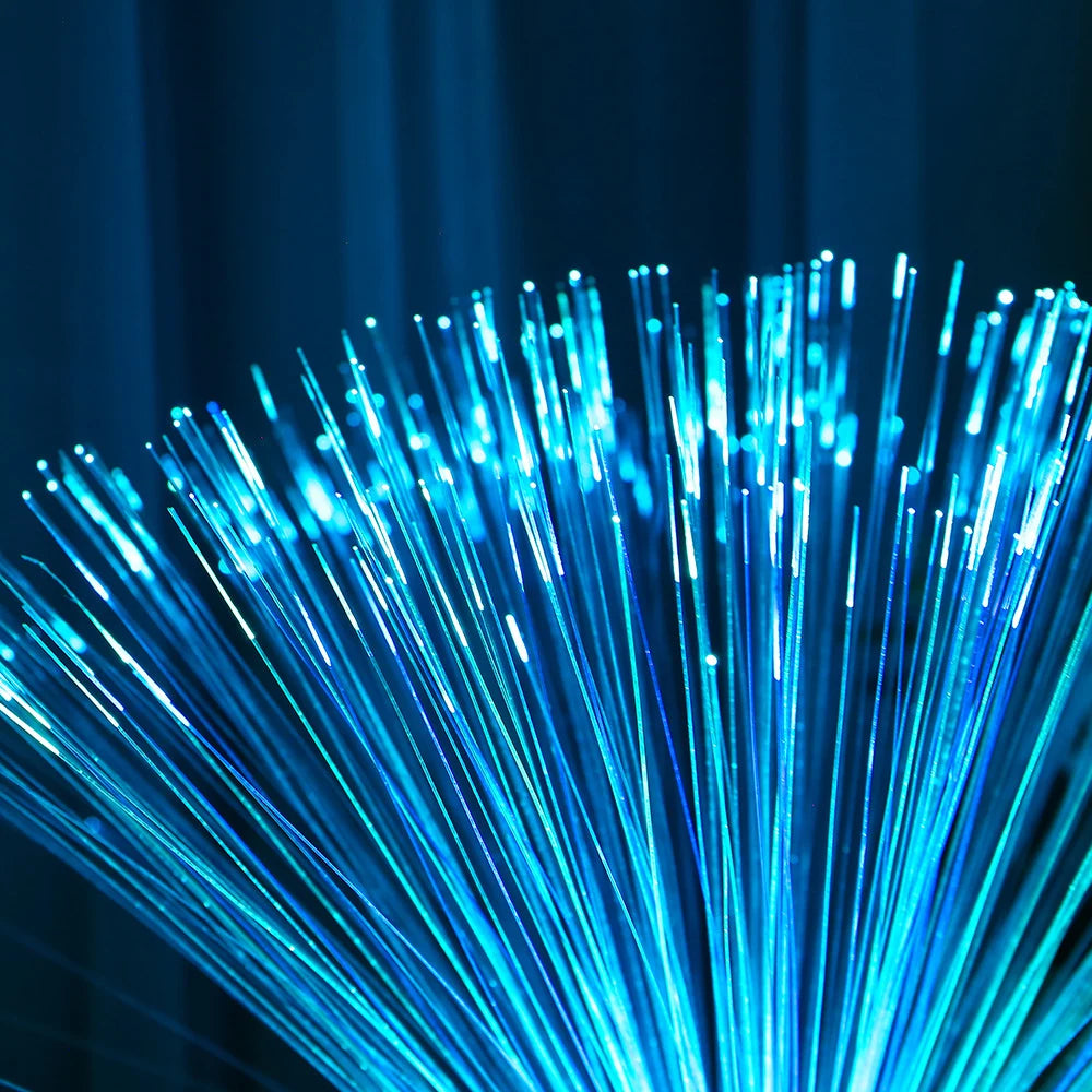 Holiday Atmosphere Lights LED Fiber Optic Lights Lanterns Starry Sky Wedding Party Christmas Decoration Home Furnishing