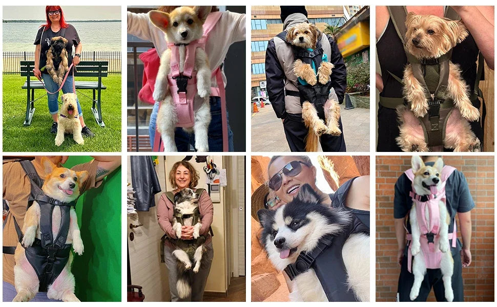 TAILUP Pet Carrier Backpack for Dogs Cat Thickened Sponge Pet Front Dog Carrier Backpacks Portable Puppy Transportation Dog Bag